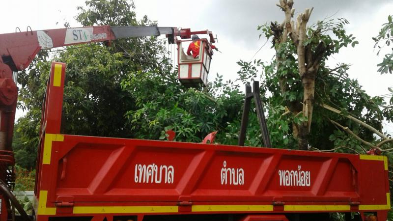 วันที่ 1 ก.ค. 2563 เจ้าหน้าที่กองช่าง ตัดไม้ ณ ศูนย์พัฒนาเด็กเล็กบ้านพอกใหญ่สามัคคี หมู่ 10