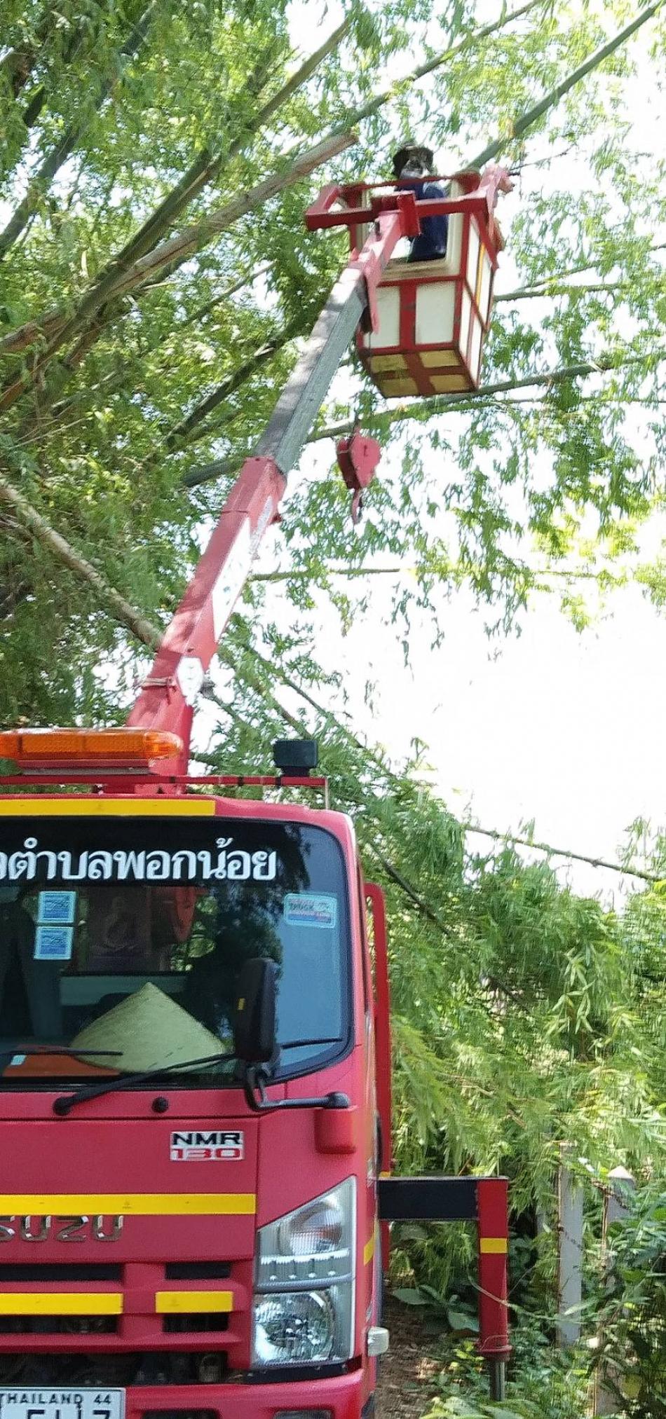 กองช่าง นำทีมโดยท่านรองรจนา  จันทร์แก้ว  รองนายกเทศมนตรีตำบลพอกน้อย  ช่วยบรรเทาความเดือนร้อนให้ชาวบ้านตำบลพอกน้อย  ในการตัดกิ่งไม้ ต้นไม้ใหญ่ที่กีดขวางทางจราจร ให้สัญจรไป-มาได้สะดวก และปรับปรุงซ่อมแซมถนน คสล.ภายในหมู่บ้าน 